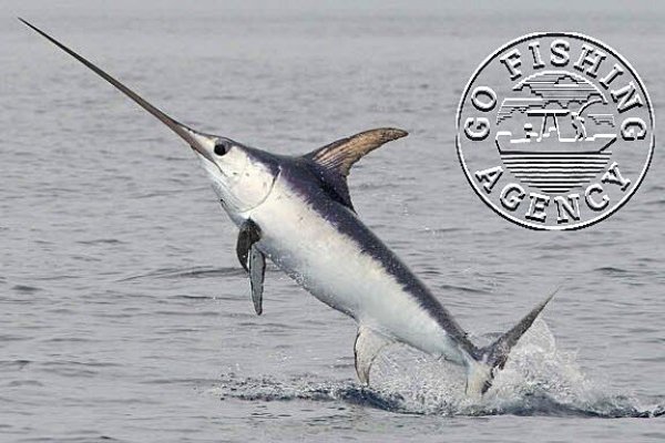Swordfish