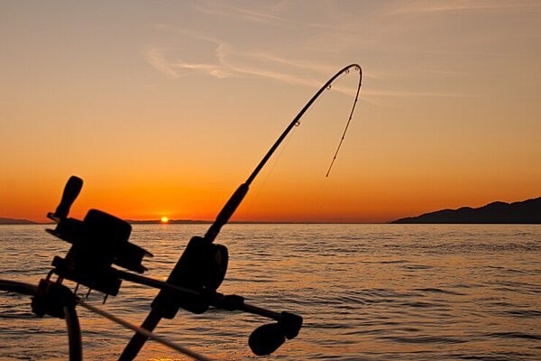 Fishing